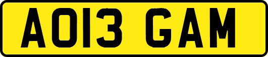 AO13GAM