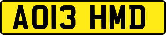 AO13HMD