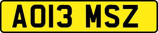 AO13MSZ