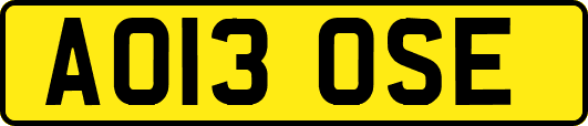 AO13OSE