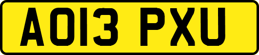 AO13PXU