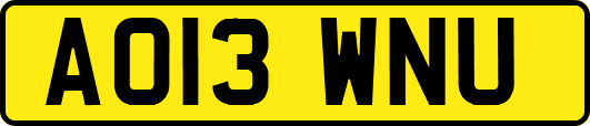 AO13WNU