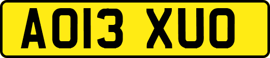 AO13XUO