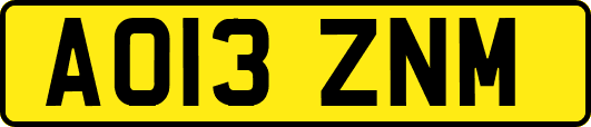AO13ZNM