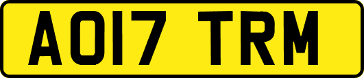 AO17TRM