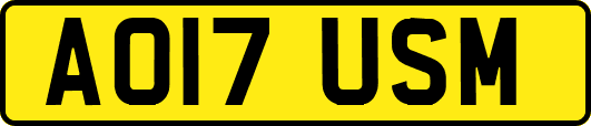 AO17USM