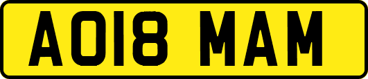 AO18MAM
