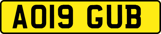 AO19GUB