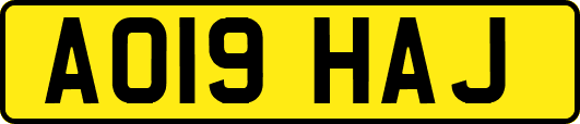 AO19HAJ