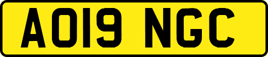 AO19NGC
