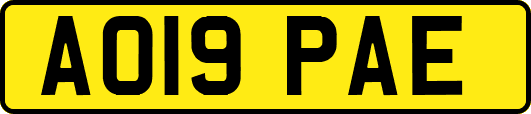 AO19PAE
