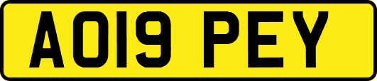AO19PEY
