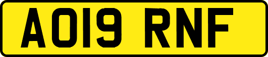 AO19RNF