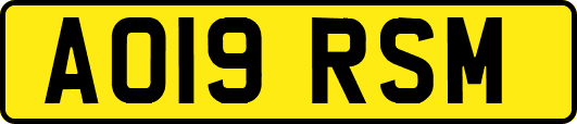 AO19RSM