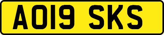 AO19SKS