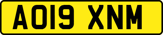 AO19XNM