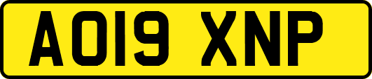 AO19XNP