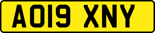 AO19XNY