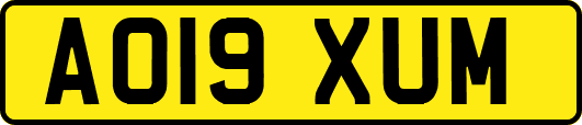 AO19XUM