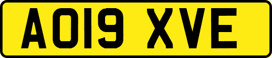 AO19XVE