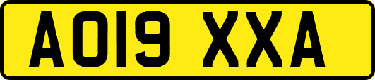 AO19XXA