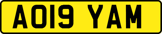 AO19YAM