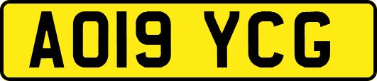 AO19YCG