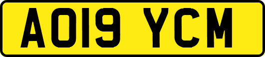 AO19YCM