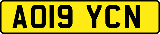 AO19YCN
