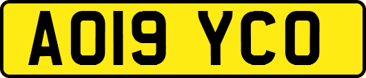 AO19YCO