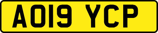 AO19YCP