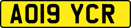 AO19YCR