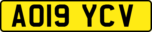 AO19YCV