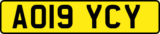 AO19YCY