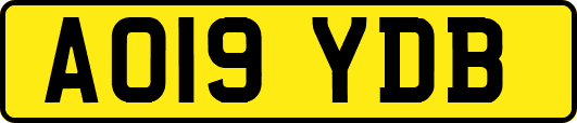 AO19YDB