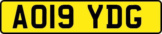 AO19YDG