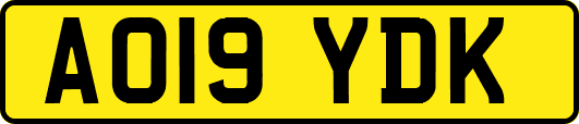 AO19YDK