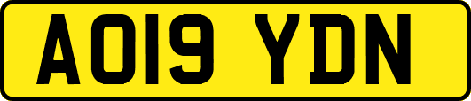 AO19YDN