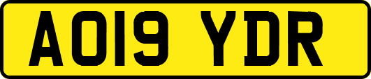 AO19YDR