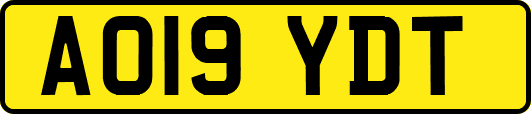 AO19YDT