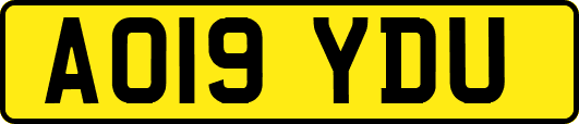 AO19YDU