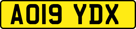 AO19YDX