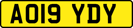 AO19YDY