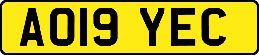 AO19YEC