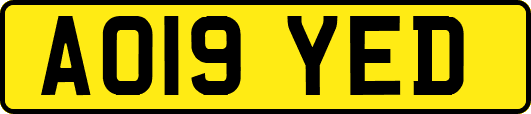 AO19YED