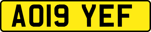 AO19YEF