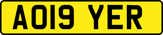 AO19YER