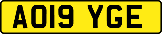 AO19YGE