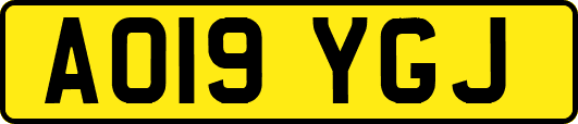 AO19YGJ