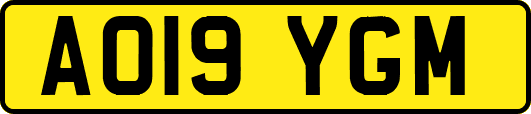 AO19YGM